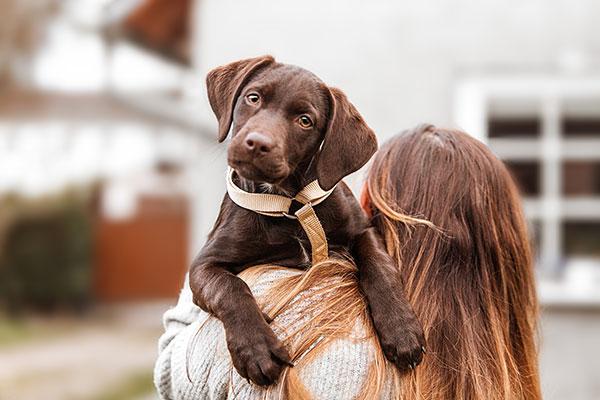 Woman Holding Dog